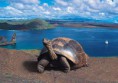 ISLAS GALAPAGOS